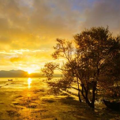 每周生肖运势5.15(下周生肖运势一览表)