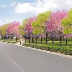 昆明市外环房价的长尾关键词有哪些