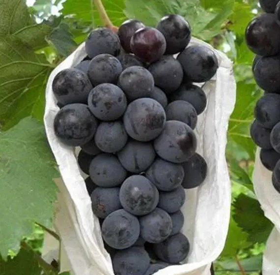 赚10万块钱的方法有哪些 赚10万块钱的方法是什么