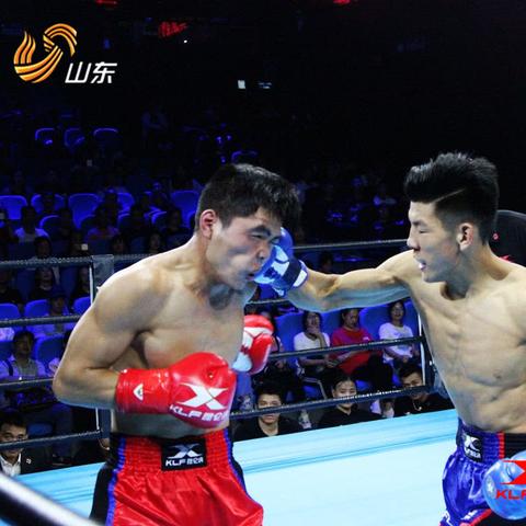 东莞市散打馆在哪里办公