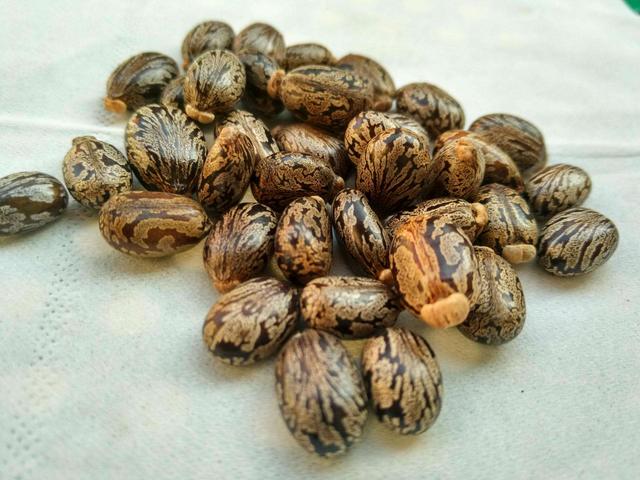 秋天皮肤容易发干