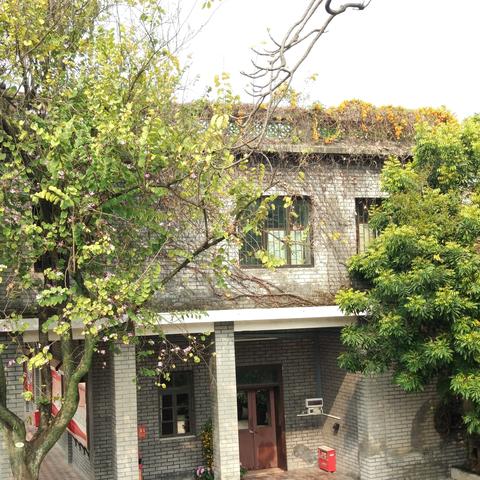 东莞市博物馆有哪些馆