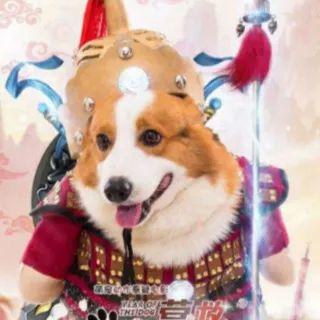 十一有哪些电影上映