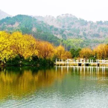 宁波市余姚有什么美食街