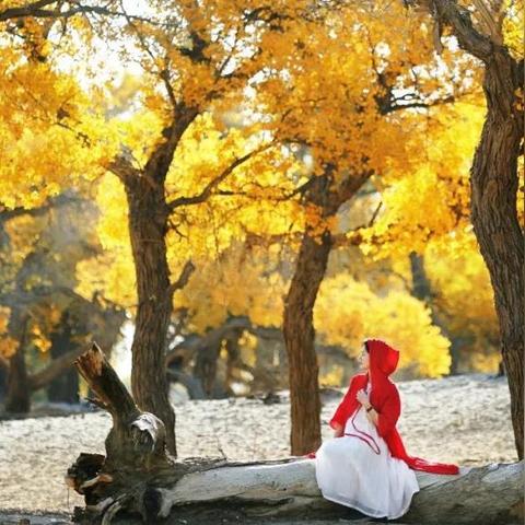 兰州额济纳旗的相关长尾关键词有哪些