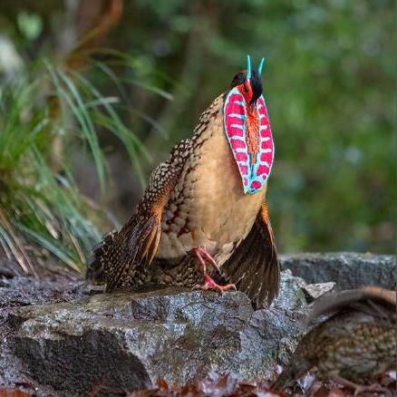 宁波亿雄的相关长尾关键词有哪些
