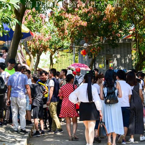 西安龙凤山庄相关长尾关键词有哪些