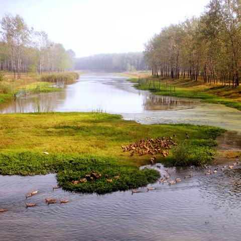 睢宁旅游景点大全的长尾关键词有哪些
