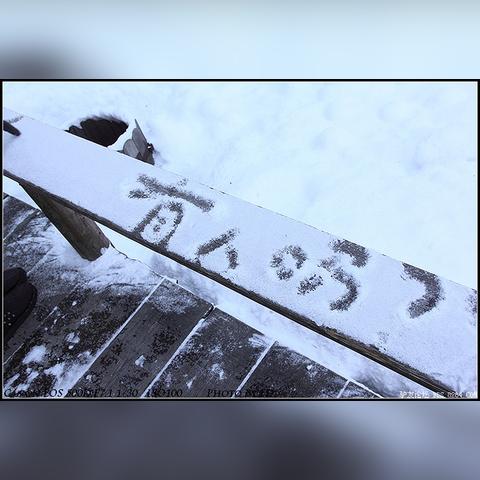 哈尔滨最美的树林相关长尾关键词有哪些