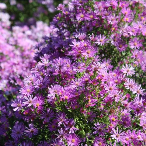 十月去天津适合穿什么