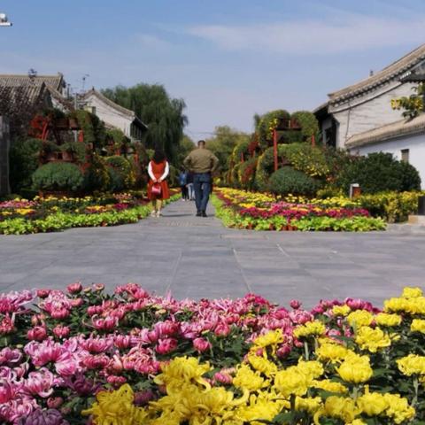 2017兰州菊花展的相关长尾关键词有哪些