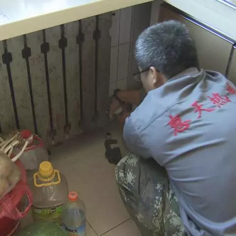 沈阳市38中住校怎么样