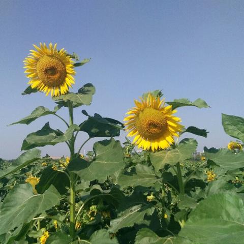 2025.12.13南通今天空气质量指数怎么样