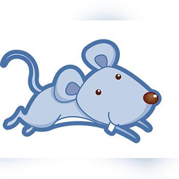 丧门入命是什么意思(丧门入命是什么意思解释)