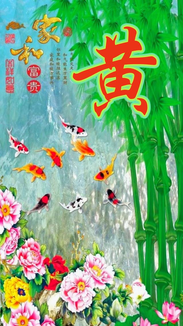 姓赵的牛宝宝怎么起名(有哪些搞笑小说值得推荐)