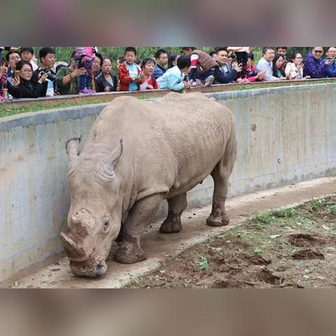 西安动物园订票哪里便宜？
