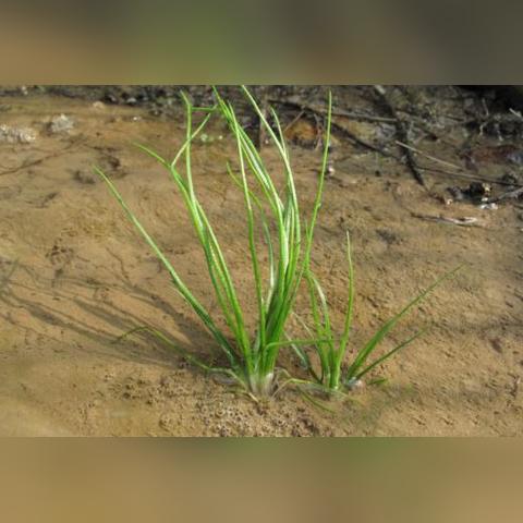 宁波到屯溪的汽车的相关长尾关键词有哪些