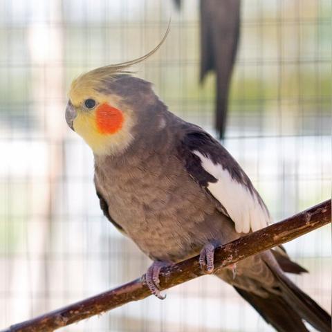 菏泽市为什么叫牡丹城的长尾关键词有哪些