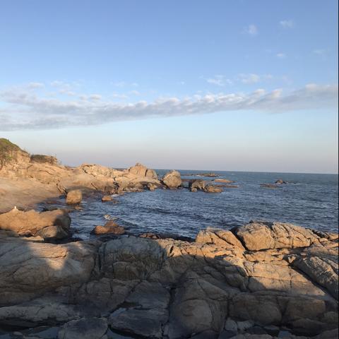 东莞市哪里买奇石