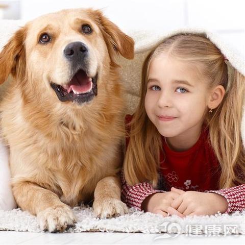 广州市有多少家宠物医院