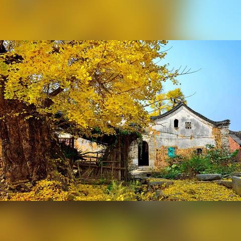 桂林旅店预定相关长尾关键词有哪些