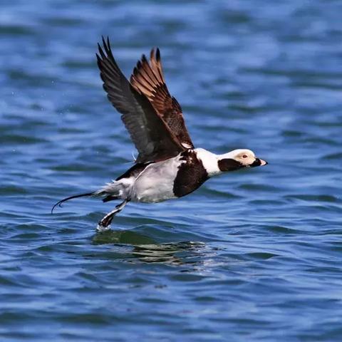 天津网站建设公司哪家好的长尾关键词是什么