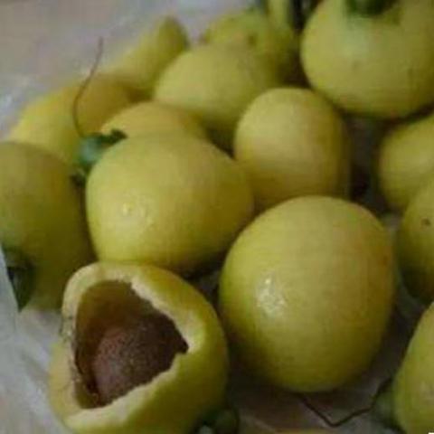 台湾和广西面积？
