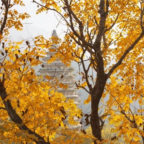 河北省石家庄市中原的长尾关键词有哪些