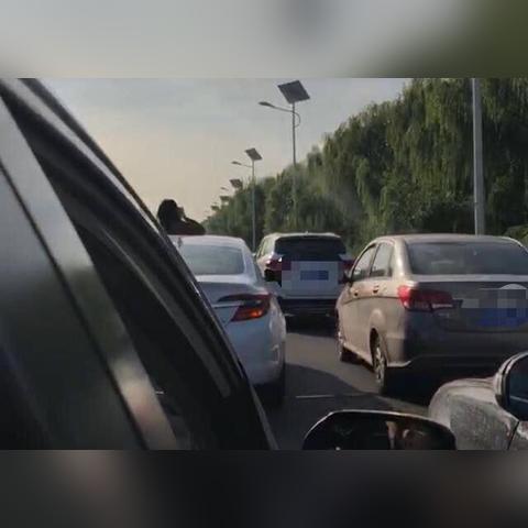 沈阳市哪个高速口没封