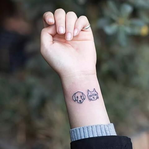 4月30日生肖运势指数(4月30日生肖运势指数查询)