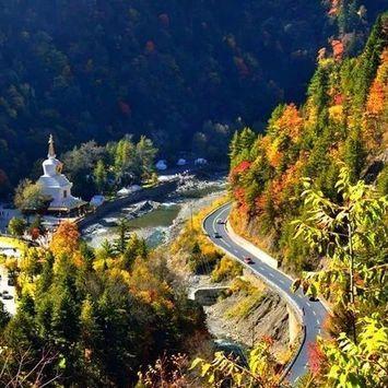 阳光叠彩是市区吗？