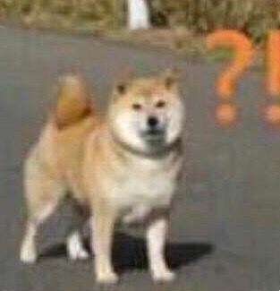 小朋友你是否有很多问号搞笑的表情包