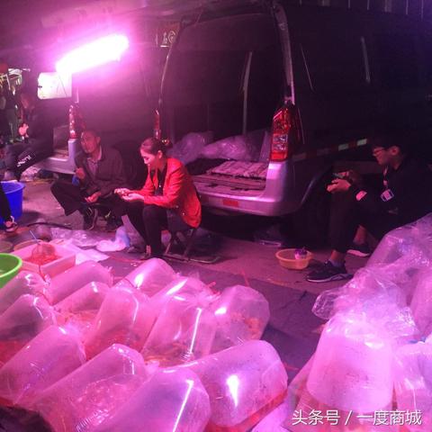 天津摆摊生涯怎么样