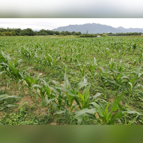 桂林打包扣厂家联系电话相关长尾关键词有哪些