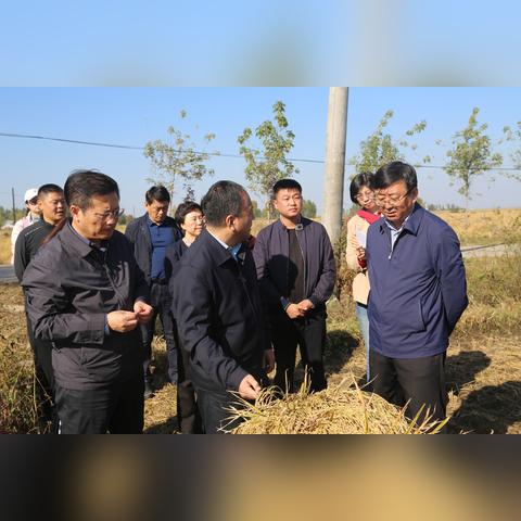 哈尔滨至双丰火车相关长尾关键词有哪些