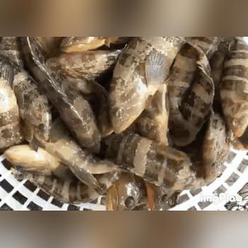厦门市的水质怎么样