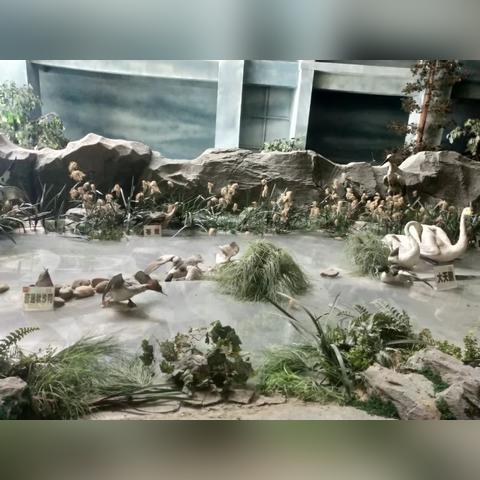 长春市去哪里遛娃