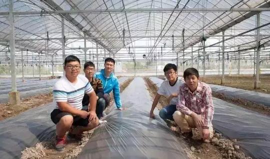 农业项目融资需要注意什么？金丰楚源创始人谭金风有话说……