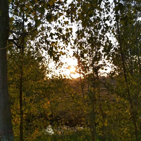 河南信阳车牌是哪个