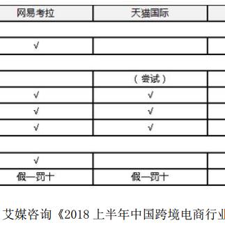 跨境运营发展路径怎么写