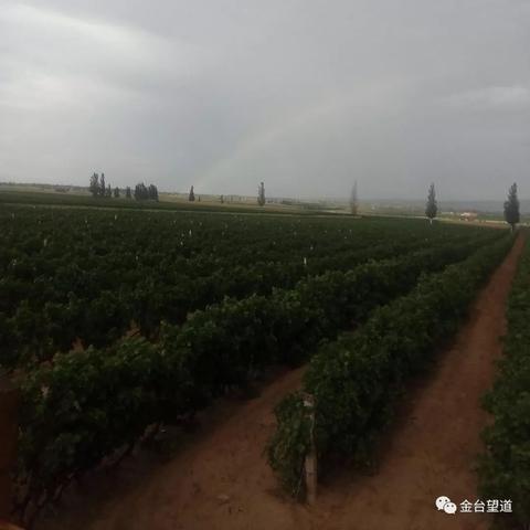 兰州画家闫的相关长尾关键词有哪些