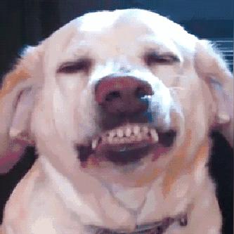 2025.12.27南通最新天气预报查询