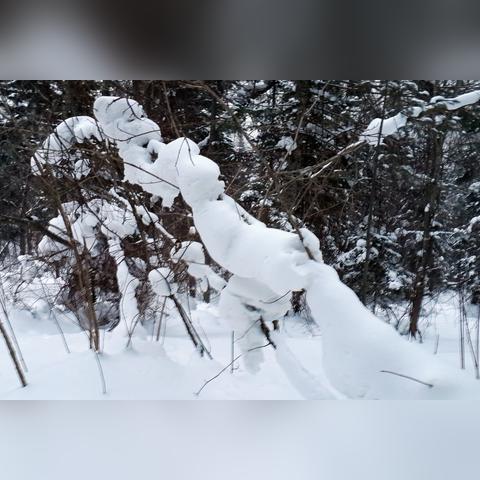 哈尔滨到雪乡 交通相关长尾关键词有哪些