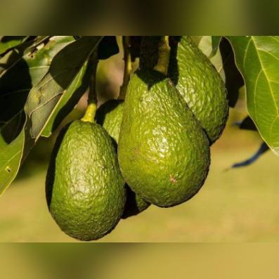 福建菜 广州菜的相关长尾关键词有哪些