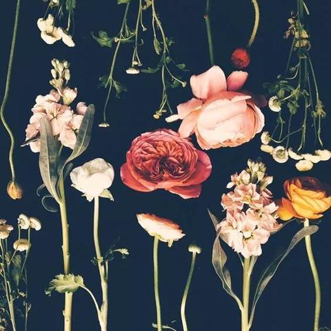 重庆印象香水怎么样