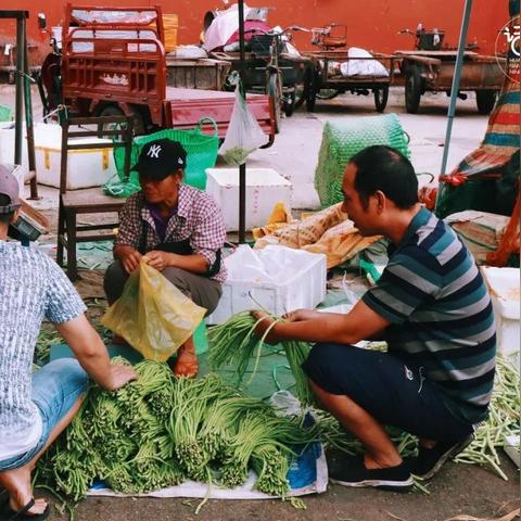 南宁市蔬菜公司怎么样