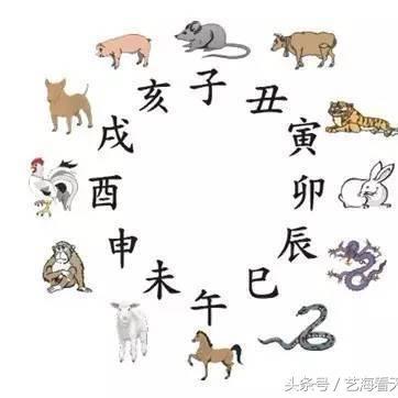七杀格 日柱劫财(七杀格带劫财)