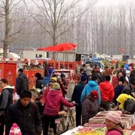 天津哪个县赶集最多最火