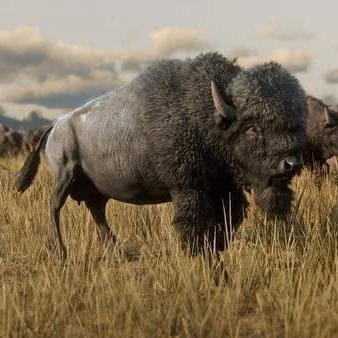 red redemption（Red Redemption，色彩中的救赎之路）