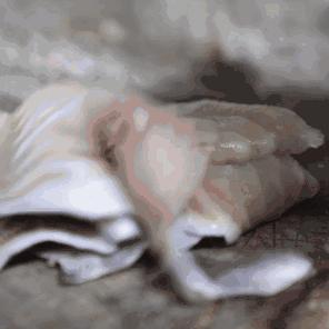 兰州传承酒的相关长尾关键词有哪些